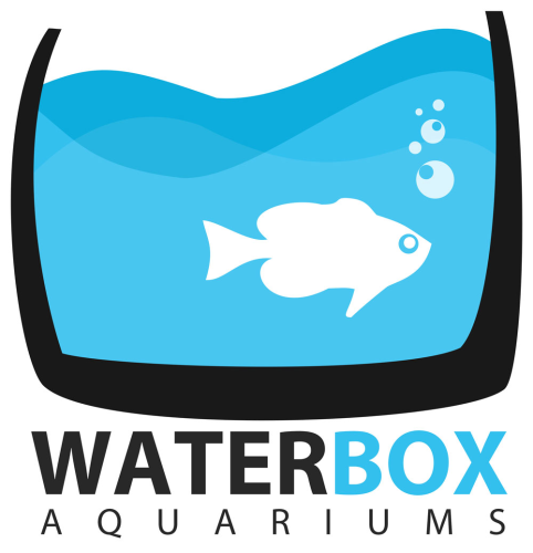 Waterbox Aquarien
