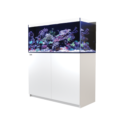 Aquarien