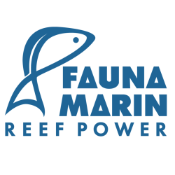 Fauna Marin