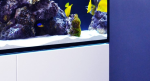Red Sea REEFER&trade; 300 System G2+ - Wei&szlig;