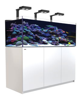 Red Sea REEFER&trade; S-850 G2+ Deluxe - Weiss (inklusive 3 X RL170S &amp; Befestigungsarme)