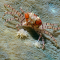 Lybia tesselata - Boxerkrabbe Nano