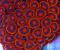 Ultra Zoanthus Bam Bam Orange - Frag 3-5 Polypen