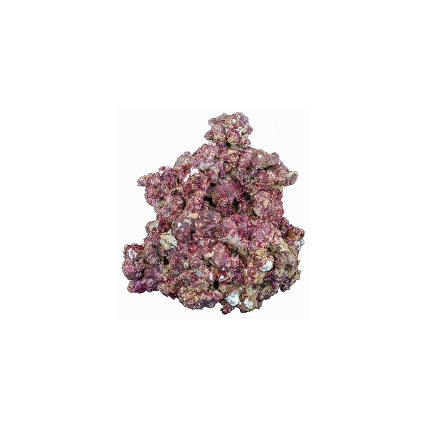 Real Reef Rock Mix 25 kg Box - www.korallenzucht.eu, 425,00