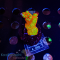 Montipora spec. - K² Forest Fire - cultured Anfänger  - WYSIWYG 299