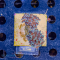 Euphyllia yaeyamaensis - K&sup2; Greenish - WYSIWYG 280