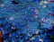 Ultra Zoanthus - Sky Blue - Frag 5-10 Polypen